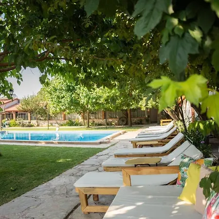 Hotel Mogla Tashan 3*