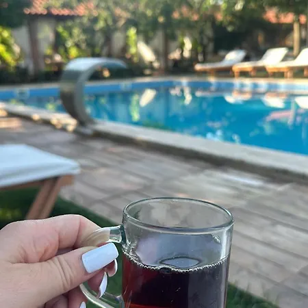 Mogla Tashan Mugla