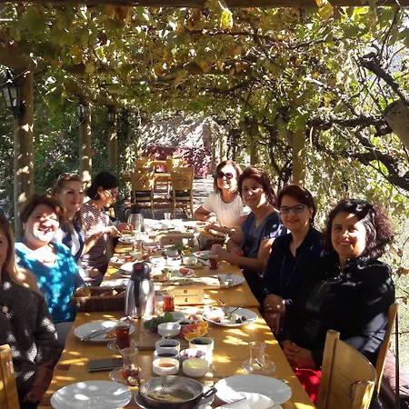 Mogla Tashan Hotel 3*