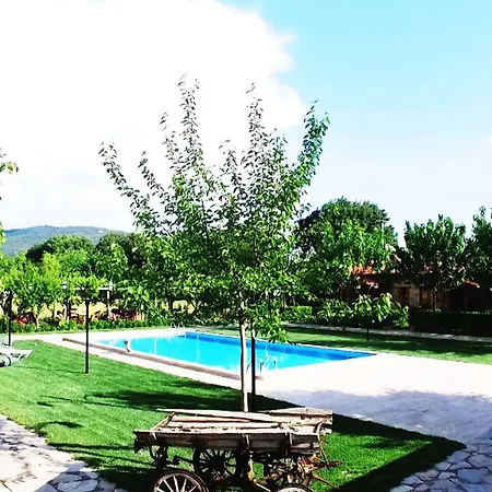 Mogla Tashan Hotel 3*
