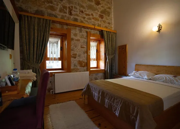 Mogla Tashan Hotell 3*