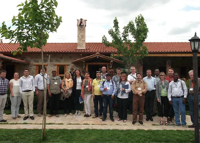 Mogla Tashan